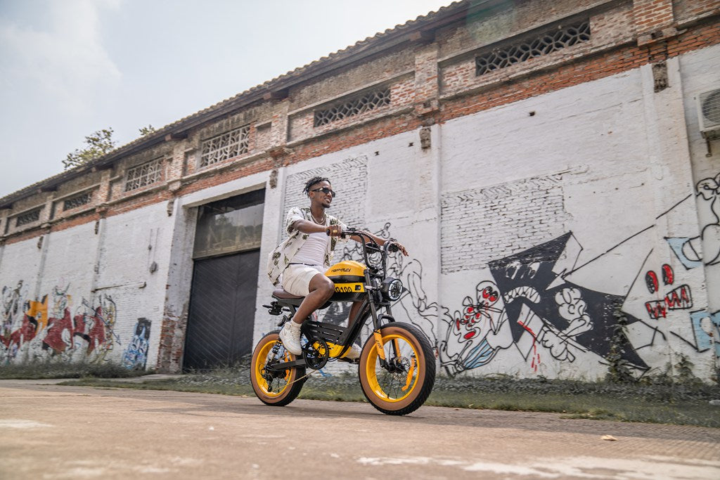 HappyRun G100 fast 2000w electric bike long range
