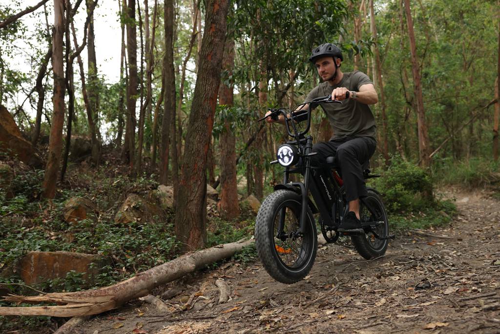 Why Are Ebikes Dominating Canadian Roads