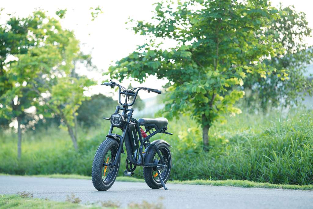 HappyRun Tank G60 Pro moped-sytle offroad 1000W electric bike