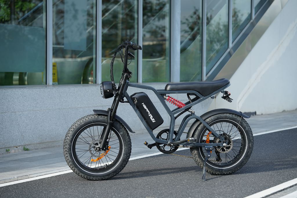 How Fast and Powerful Is a 1000w Electric Bike