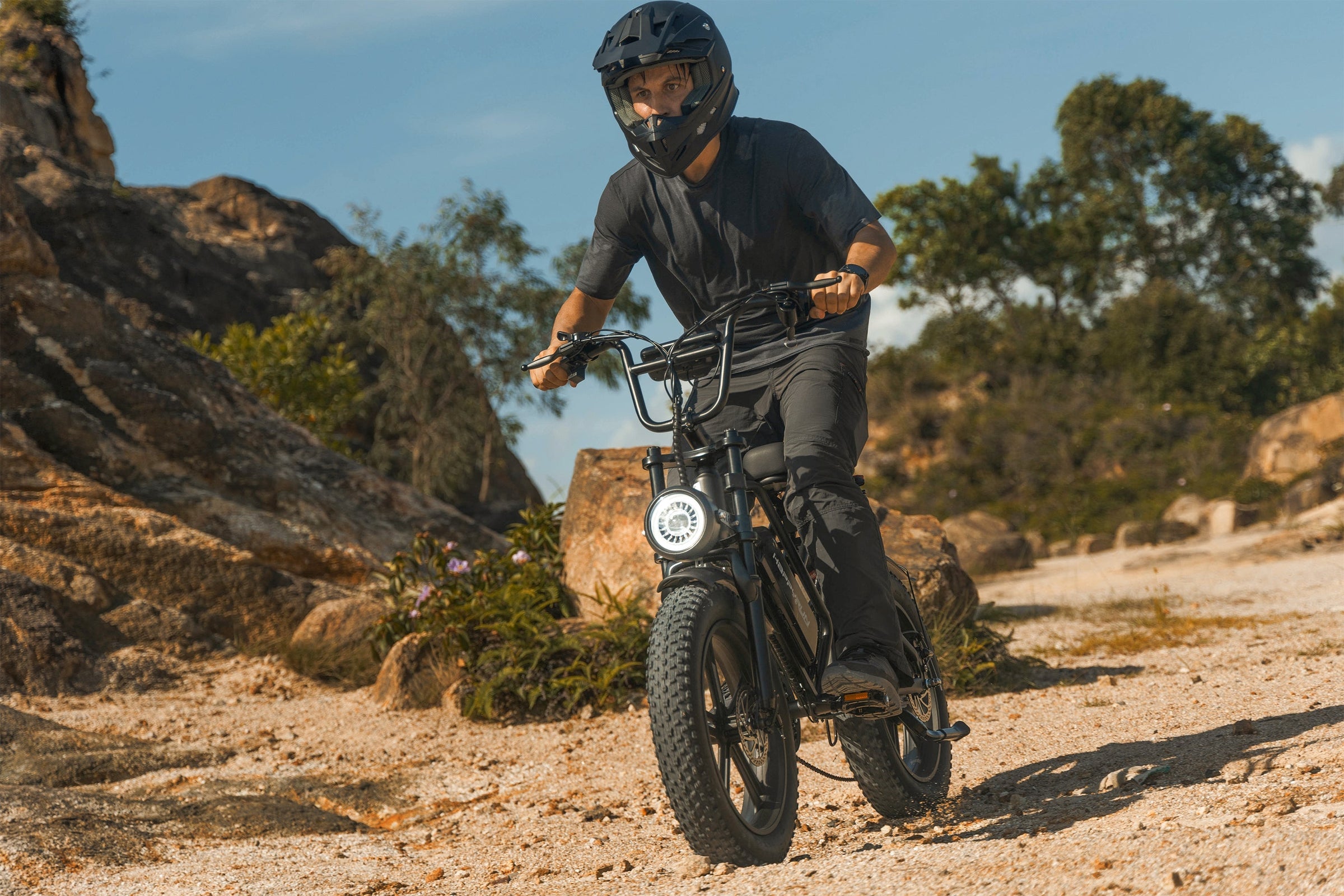 Off Road Electric Bike